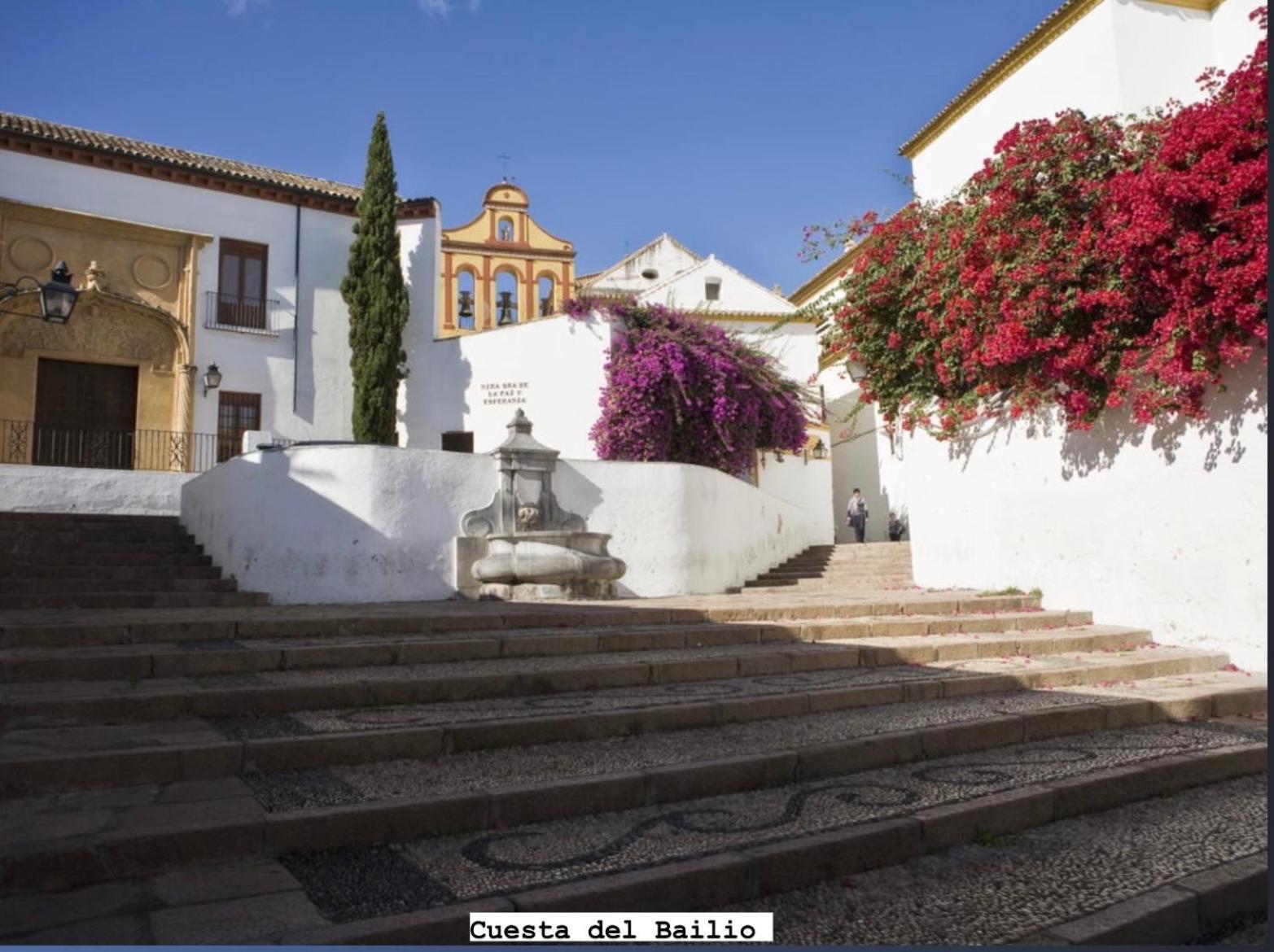Centro- Apartamento Azonaicas Córdoba Buitenkant foto