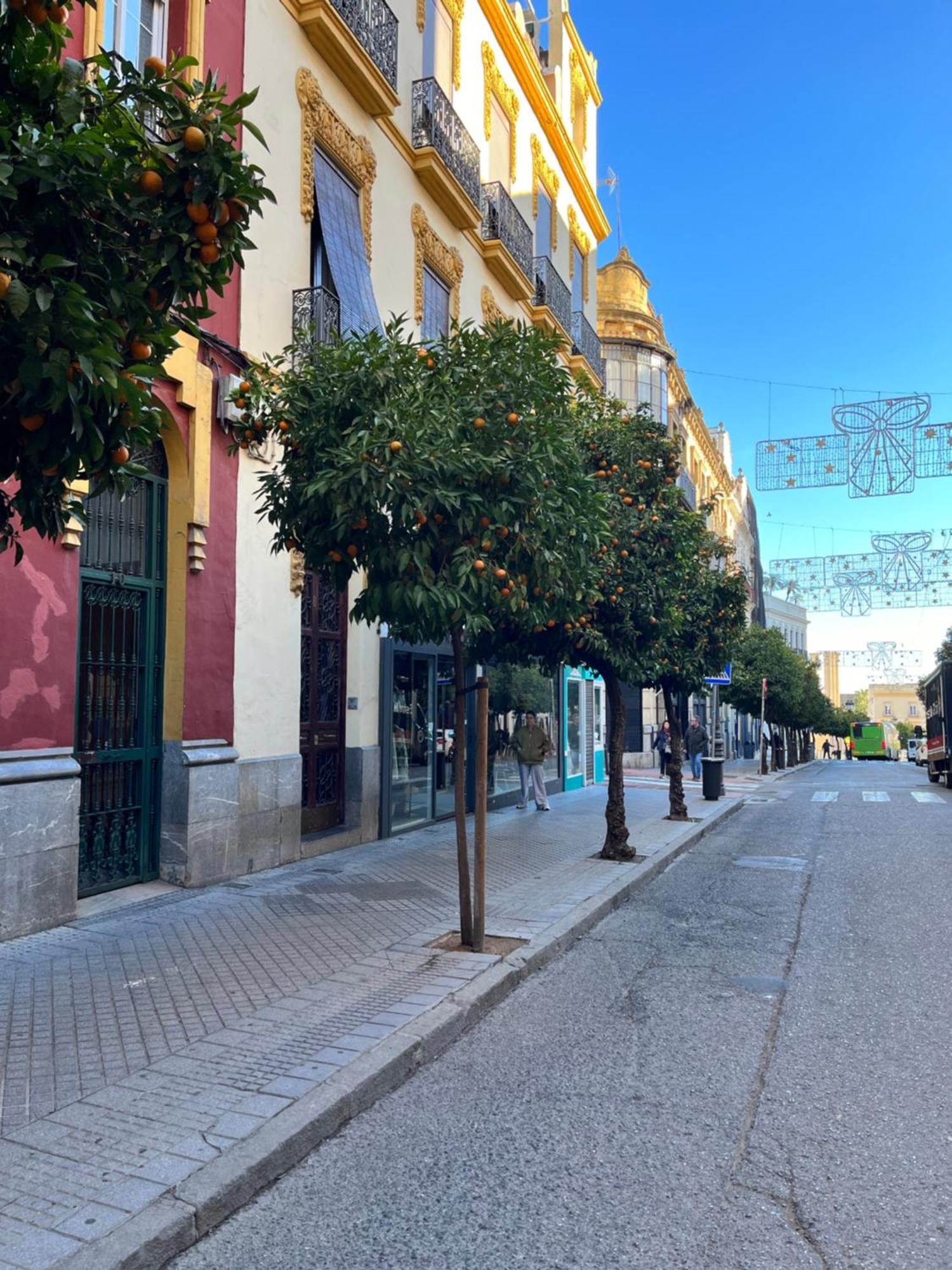 Centro- Apartamento Azonaicas Córdoba Buitenkant foto